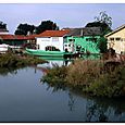 Marennes4