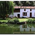 Marais_poitevin2