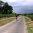Vignoble4
