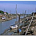 Marennes 5
