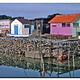 Marennes6