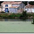 Marais poitevin3