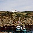 L'île d'Yeu