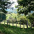 sur le sentier