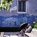 Lisbonne079