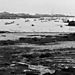 Iles_chausey11