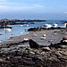 Iles Chausey2