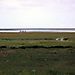 Mont_stmichel8
