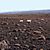 031islande