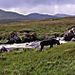Connemara3