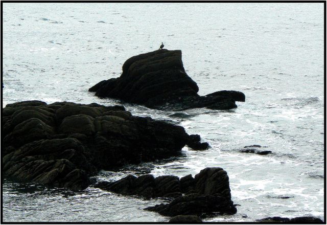 P1210692