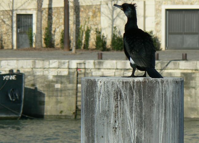 P1260563