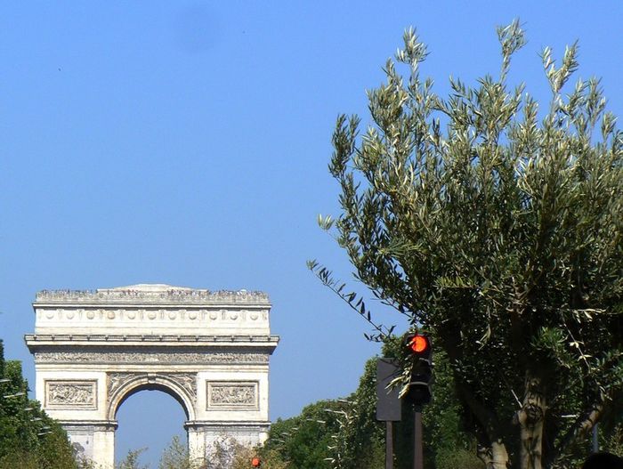 P1290331