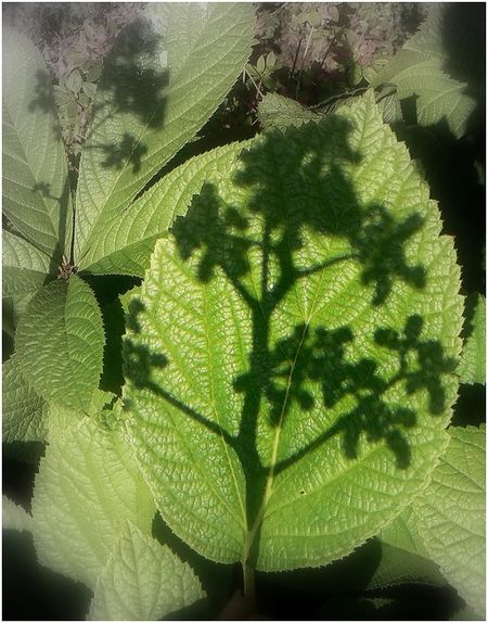 Feuille2
