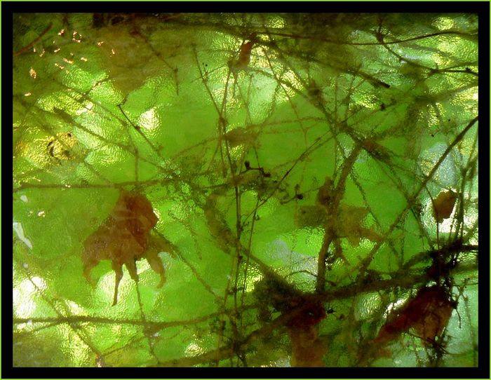 Feuillage4 Feuillage4