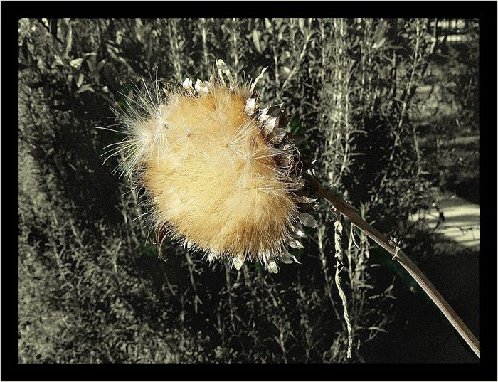 P1000317