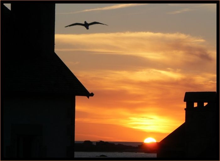 Couchermouette2