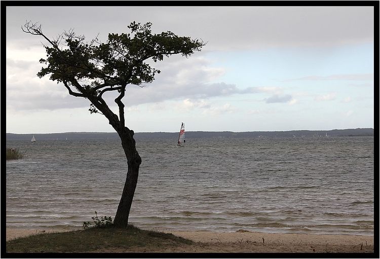Sanguinet Oct2011 585