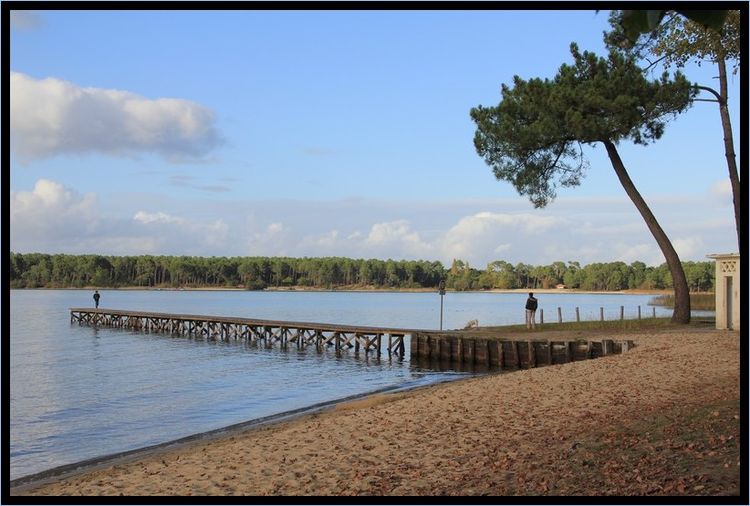 Lac1