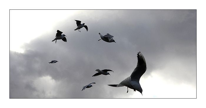 IMG_3300