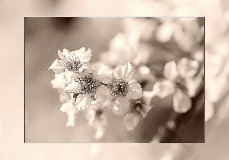 Copie de IMG_5136