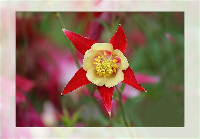 Copie de IMG_6985