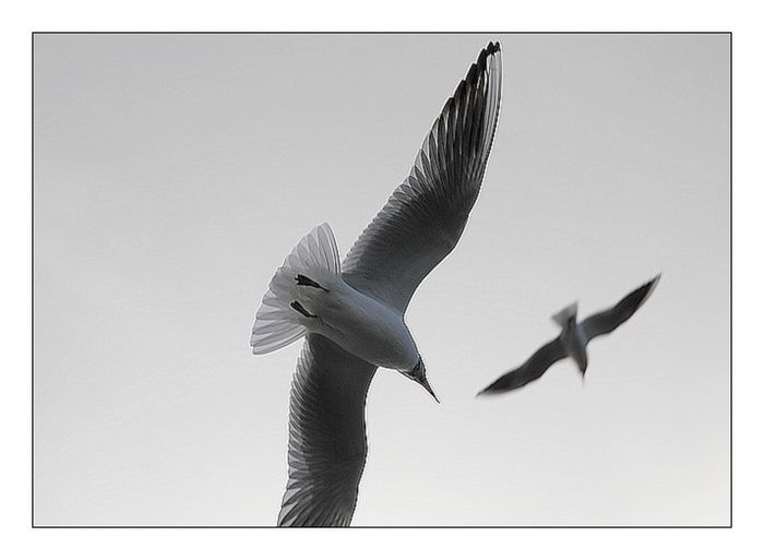 IMG_3303