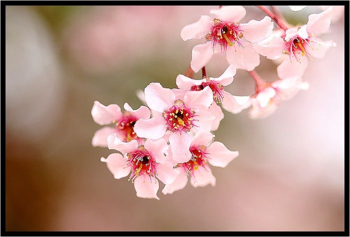IMG_5135 IMG_5135