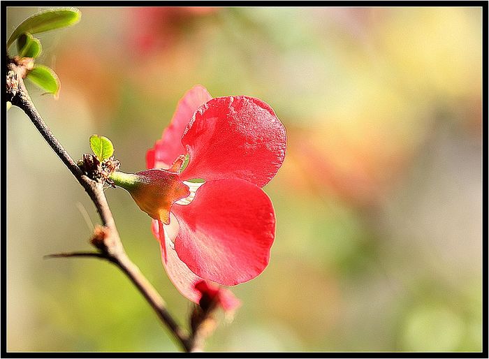 IMG_5183 IMG_5183