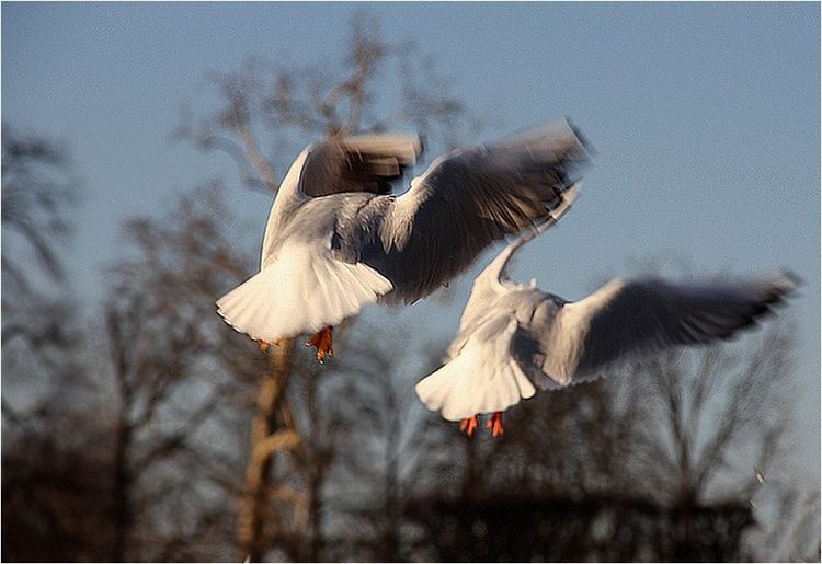 IMG_2946 IMG_2946