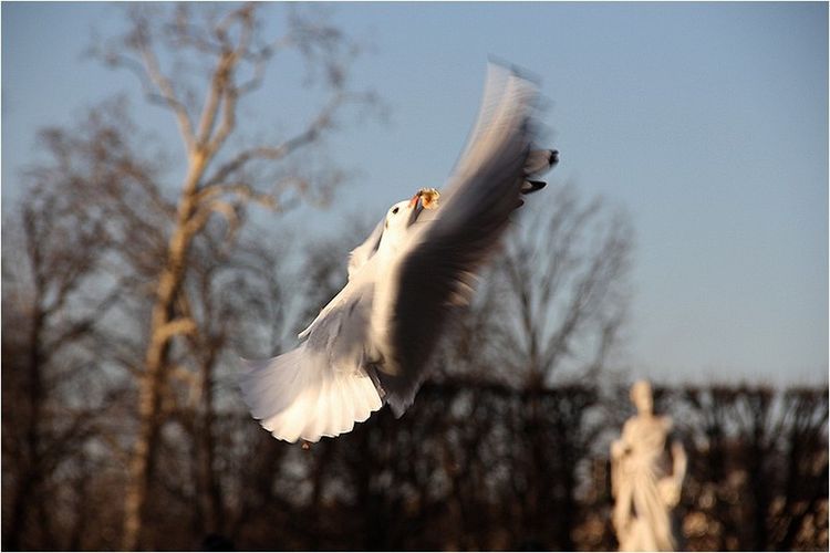 IMG_2944 IMG_2944