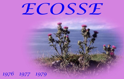 000_ecosse_5