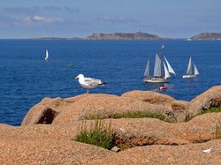 017ploumanach_2