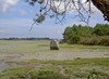 030pont_labbe