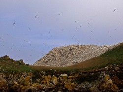 073les_7_iles