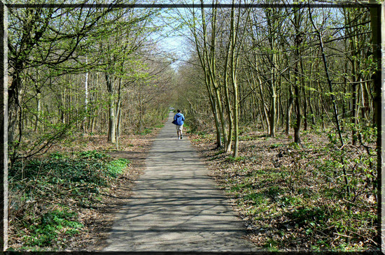 P1000743_copie