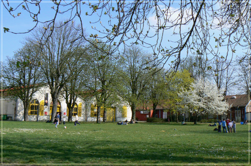 P1000759_copie