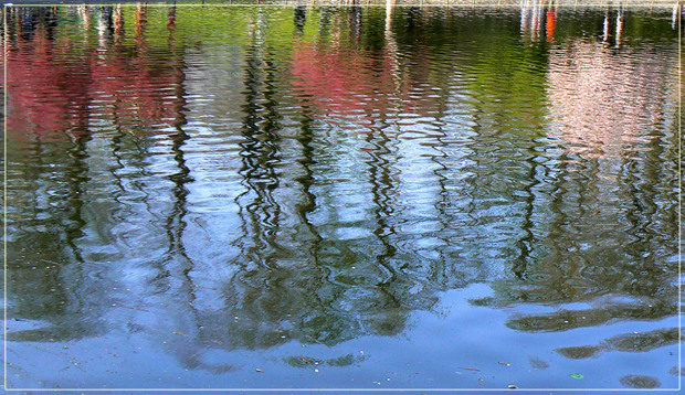 P1000781_copie