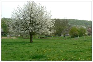 P1010408