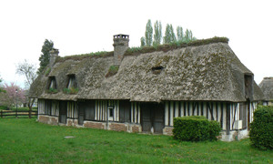 P1010383