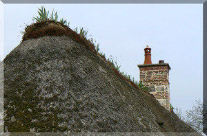 P1010386_copie