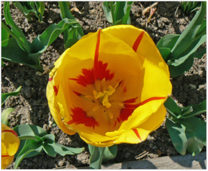 P1010662_copie