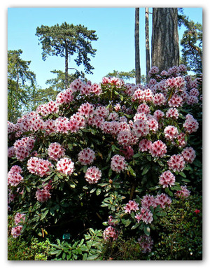 P1010672_copie