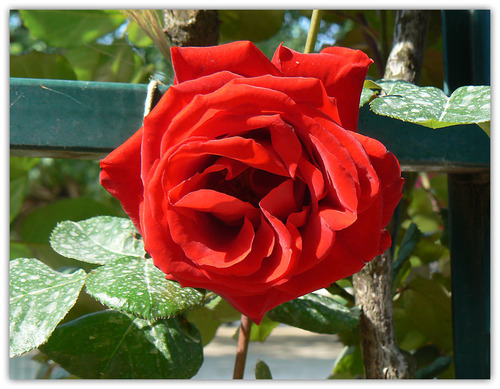 P1010836_copie_2