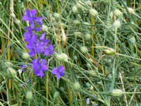 P1020867