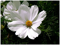 P1020367