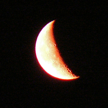 P1030391_3