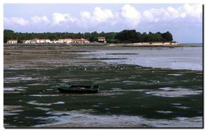 Ile_de_r3