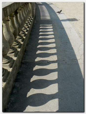 P1030520