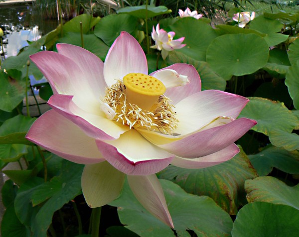P1030598_3